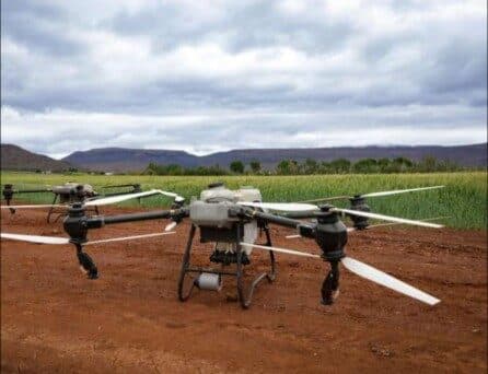 Sensors and drones can help farmers improve crop quality while saving water