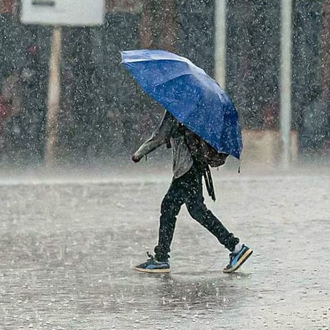 Wiki rain