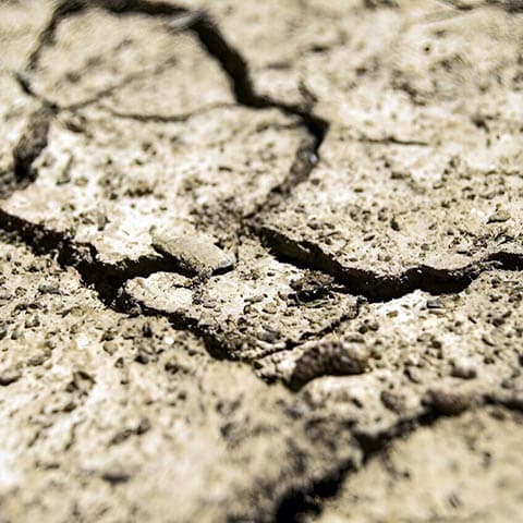 Drought