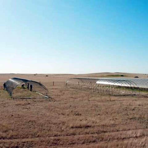 Global research shows how Dust Bowl-type drought causes unprecedented productivity loss