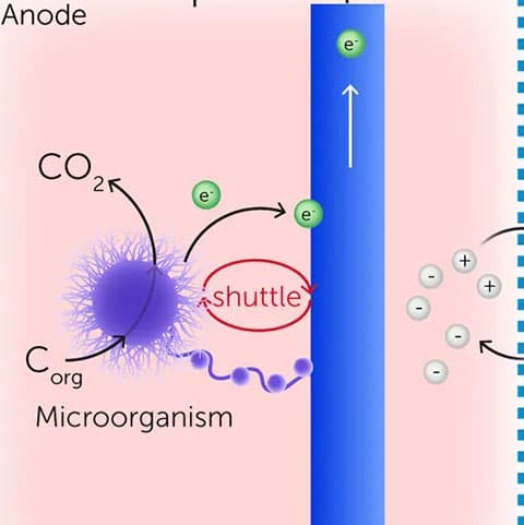 How bacteria can reclaim lost energy, nutrients and clean water from wastewater