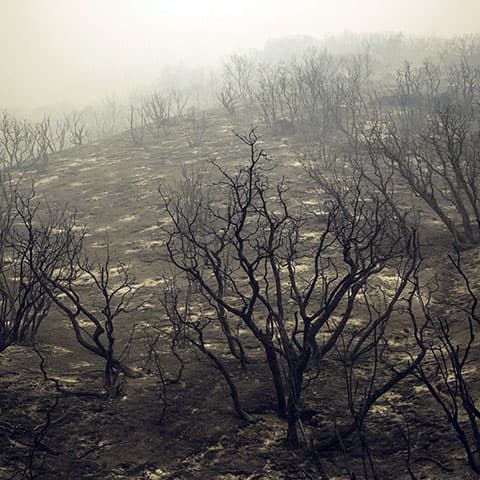 Wildfires transform soil, turning a nutrient into poisonous hexavalent chromium