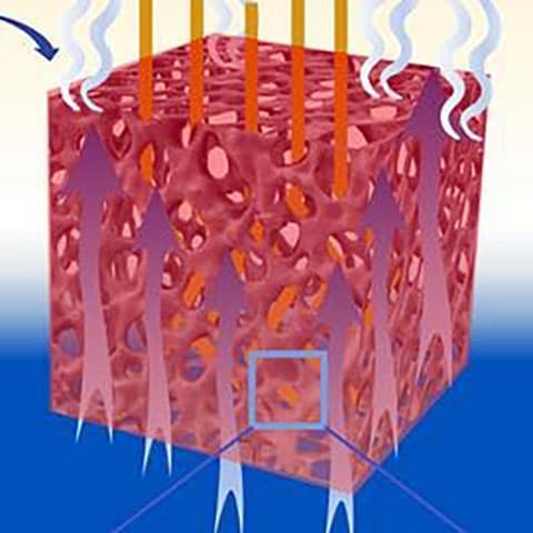 Biochar-powered hydrogels boost solar water evaporation efficiency for sustainable desalination