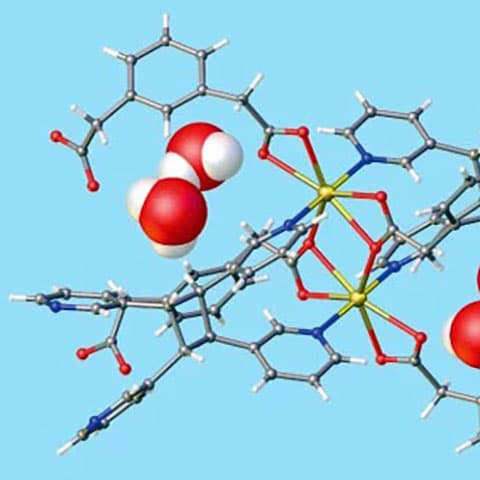 Morphing metal-organic material harvests water from thin air