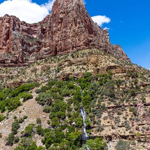 Hidden water system helps keep the Grand Canyon alive — but climate change could put it at risk