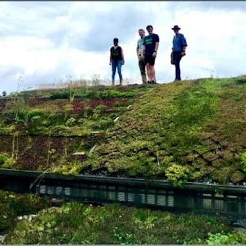 Biochar guidance gives stormwater engineers a roadmap for BMP integration