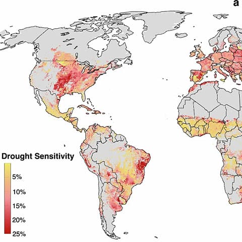 Global hotspots where drought poses the greatest threat to crop production mapped