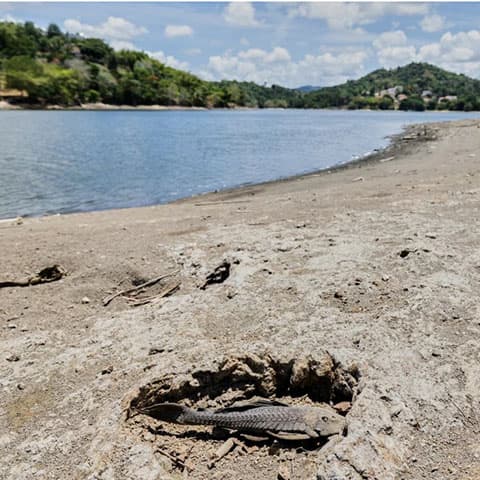 U.S. declares drought disaster for areas in Puerto Rico as dry conditions persist