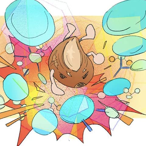 Shea butter can remove toxic chemicals from water, researchers find