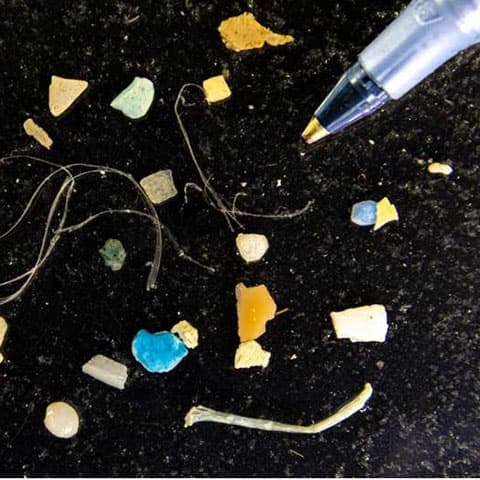 Tangled seaweed inspires one-size-fits-all cleaners for ocean microplastics