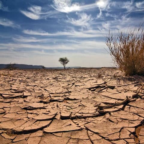 European Union calls for global action to make water more resilient as drought, desertification intensify