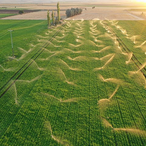 aerial view of agriculture field being irrigated